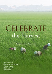 Harvest farm agriculture poster template and design