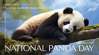 National Panda Day blog banner template