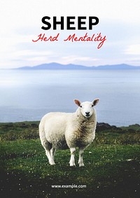 Sheep poster template and design