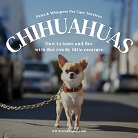 Chihuahua Instagram post template