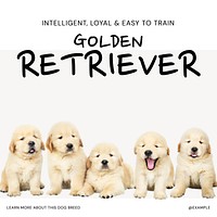Golden Retriever Instagram post template