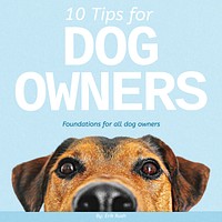 Pet care tips Instagram post template