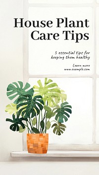 House plant care Facebook story template