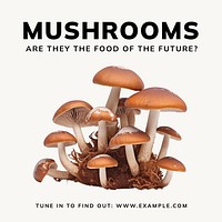 Mushroom Instagram post template