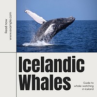 Icelandic whales Instagram post template