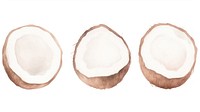 Coconuts as divider watercolor produce fruit plant.