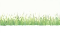 Grass as divider watercolor vegetation outdoors plant.