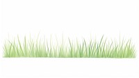 Grass as divider watercolor vegetation plant lawn.