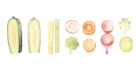 Food as divider watercolor vegetable cucumber produce.