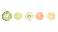 Fruits as divider watercolor grapefruit weaponry cooking.