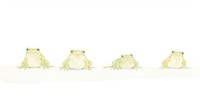 Frogs as divider watercolor amphibian wildlife animal.