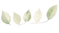 Leaves as divider watercolor blossom herbal animal.