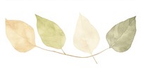 Leaves as divider watercolor produce herbal animal.