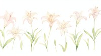 Lily as divider watercolor blossom flower plant.