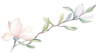 Magnolia as divider watercolor blossom flower plant.