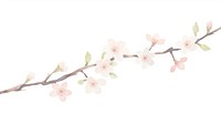 Sakura as divider watercolor blossom flower person.