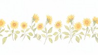 Sunflower as divider watercolor asteraceae graphics blossom.