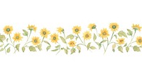 Sunflowers as divider watercolor asteraceae graphics blossom.