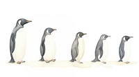 Penguin as divider watercolor animal bird king penguin.