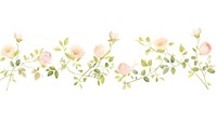 Roses as divider watercolor graphics painting pattern.