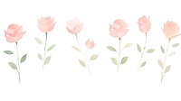 Roses as divider watercolor graphics painting blossom.