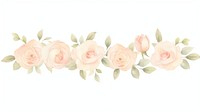 Roses as divider watercolor graphics blossom pattern.