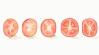 Tomatoes as divider watercolor vegetable weaponry produce.