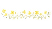 Yellow flower as divider watercolor graphics daffodil pattern.