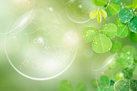 Green leaves with water drops background