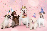 Group of puppies celebrating a new year
