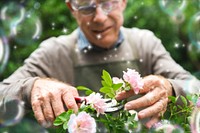Happy elderly man flower gardening
