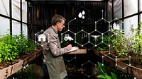 Old man studying plants in the greenhouse