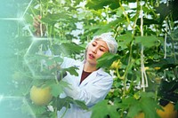 Asian scientist studying plants and fruits