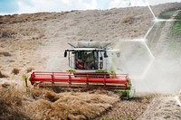 Combine harvester machine, agriculture concept