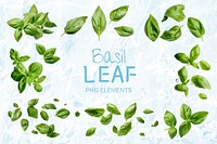 Basil leaf food element set