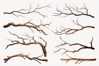 Tree branch element set