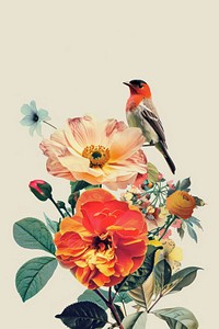 Bird art asteraceae graphics.
