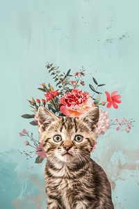 Cat art photography portrait.