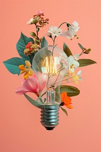 Light bulb lightbulb blossom flower.