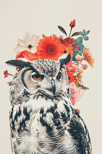 Owl and floral art illustrated asteraceae.