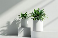 Plant mockup planter pottery vase.