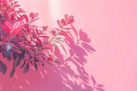 Pink color background graphics outdoors painting.
