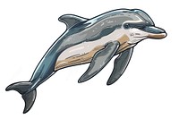 Bottlenose dolphin appliance animal mammal.