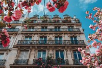 Paris with blooming flowers architecture cityscape building.