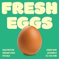 Fresh eggs Facebook post template