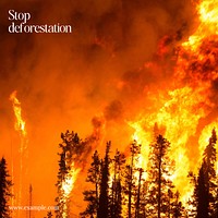 Stop deforestation Instagram post template