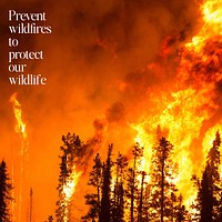 Wildfires Instagram post template