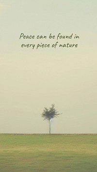 Nature quote Instagram story template