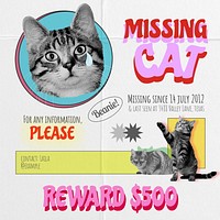 Missing cat Instagram post template