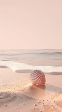 Beach with cute seashell invertebrate shoreline outdoors.